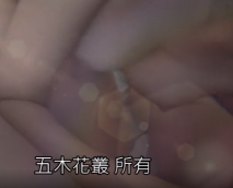 五木花叢 三重 法娜