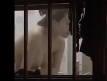 對面的大奶少婦都故意不拉窗簾