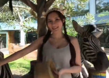 堅挺美乳女神 艾熙 Ashley (aixiaixi) 摸完斑馬回去摸大象 小穴被頂到高潮